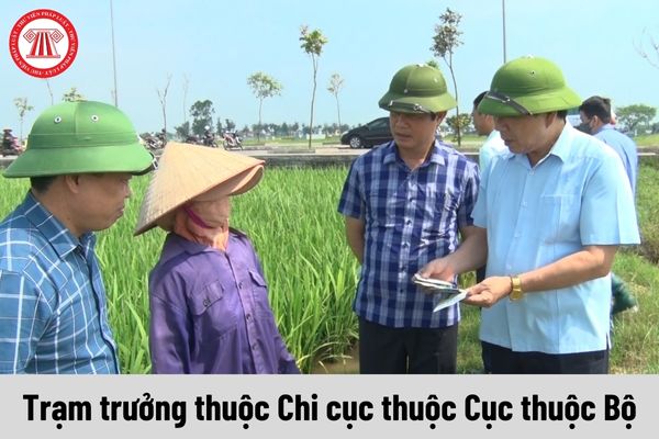 Trạm trưởng thuộc Chi cục thuộc Cục thuộc Bộ có những quyền gì?