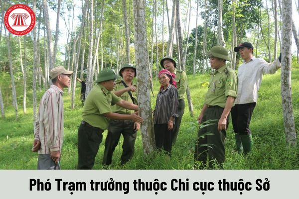 Phó Trạm trưởng thuộc Chi cục thuộc Sở Nông nghiệp và Phát triển nông thôn phải thực hiện những nhiệm vụ nào?