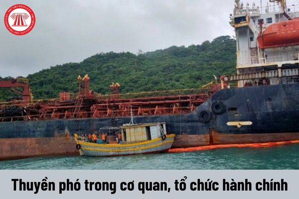 Yêu cầu về trình độ của Thuyền phó trong cơ quan, tổ chức hành chính phải đáp ứng là gì?