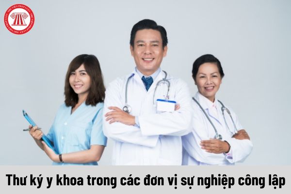 Thư ký y khoa trong các đơn vị sự nghiệp công lập phải đáp ứng yêu cầu về trình độ như thế nào?