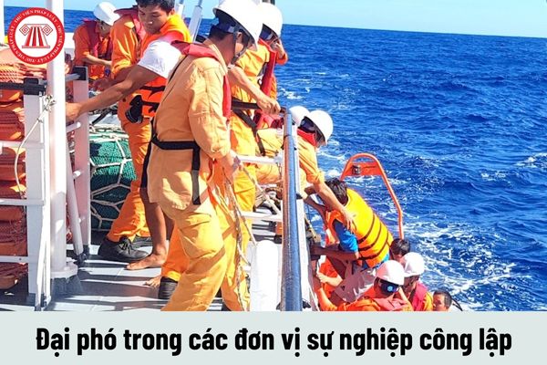 Công việc của Đại phó trong các đơn vị sự nghiệp công lập phải thực hiện là gì?