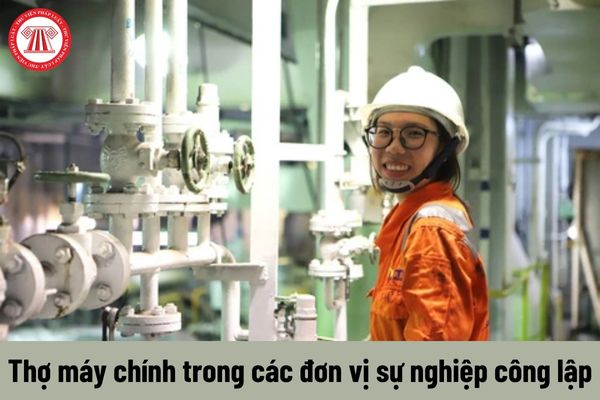 Yêu cầu về trình độ đào tạo của Thợ máy chính trong các đơn vị sự nghiệp công lập phải đáp ứng là gì?