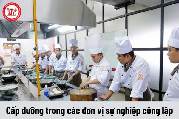 Yêu cầu về năng lực của Cấp dưỡng trong các đơn vị sự nghiệp công lập phải đáp ứng là gì?