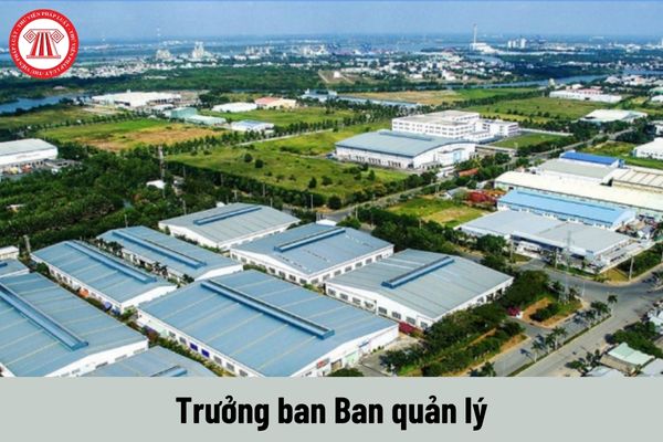 Nhiệm vụ của Trưởng ban Ban quản lý Khu chế xuất và công nghiệp thành phố và Khu công nghệ cao thành phố là gì?