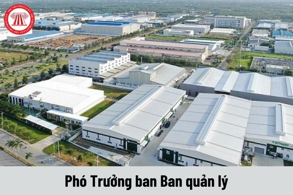 Phó Trưởng ban Ban quản lý Khu chế xuất và công nghiệp thành phố và Khu công nghệ cao thành phố có nhiệm vụ gì?