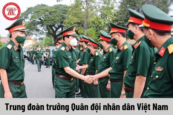 Cấp bậc quân hàm cao nhất của Trung đoàn trưởng Quân đội nhân dân Việt Nam hiện nay là gì?