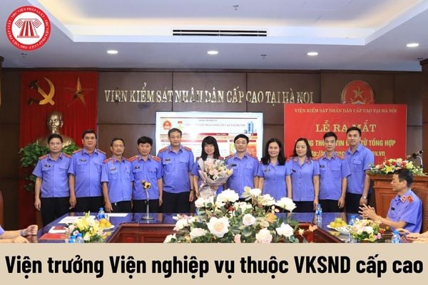 Viện trưởng Viện nghiệp vụ thuộc Viện kiểm sát nhân dân cấp cao được nhận mức phụ cấp chức vụ là bao nhiêu?