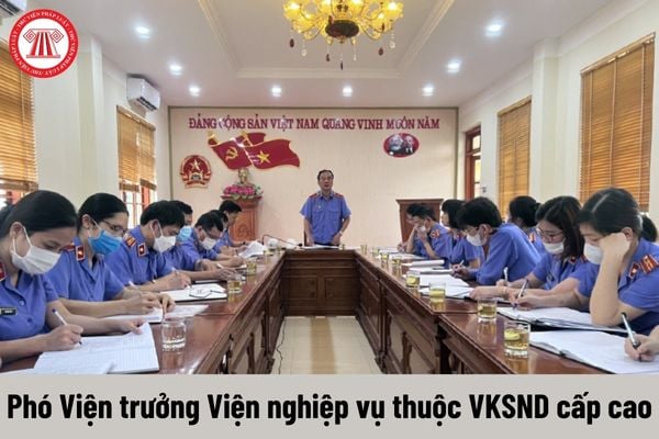 Phó Viện trưởng Viện nghiệp vụ thuộc Viện kiểm sát nhân dân cấp cao được nhận mức phụ cấp chức vụ là bao nhiêu?