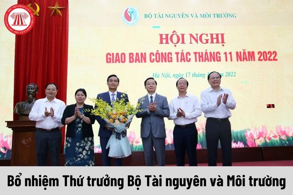 Thẩm quyền bổ nhiệm chức vụ Thứ trưởng Bộ Tài nguyên và Môi trường thuộc về ai?