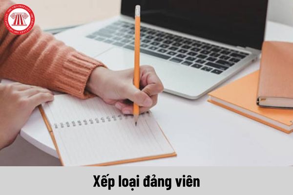 Mẫu bản kiểm điểm đảng viên của công chức ngành văn hóa năm 2023 được thực hiện theo mẫu nào?