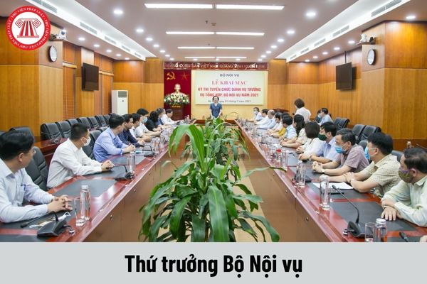 Thứ trưởng Bộ Nội vụ phải đáp ứng yêu cầu về trình độ như thế nào?