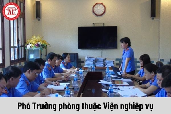 Phó Trưởng phòng thuộc Viện nghiệp vụ thuộc Viện kiểm sát nhân dân cấp cao được nhận mức phụ cấp chức vụ là bao nhiêu?