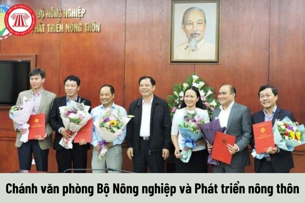 Giữ chức vụ Chánh văn phòng Bộ Nông nghiệp và Phát triển nông thôn thì được nhận mức phụ cấp chức vụ lãnh đạo là bao nhiêu?