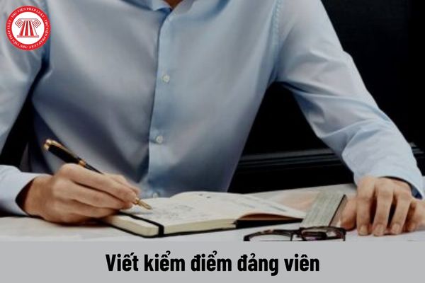 Viên chức là giáo viên các trường dự bị đại học công lập viết kiểm điểm đảng viên năm 2023 như thế nào?