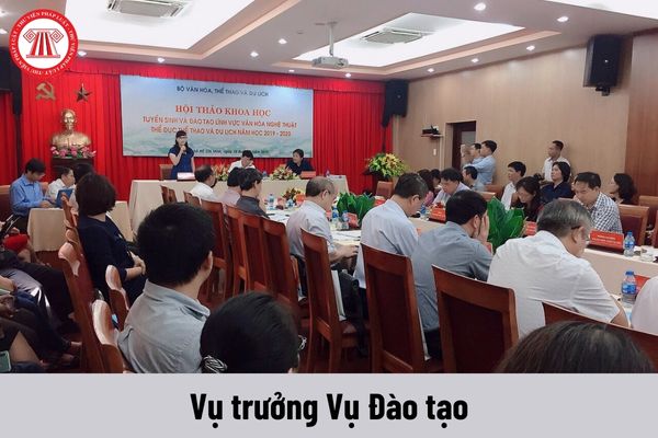 Mức phụ cấp chức vụ lãnh đạo của Vụ trưởng Vụ Đào tạo được nhận là bao nhiêu?