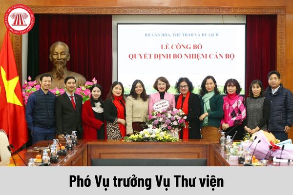 Mức phụ cấp chức vụ lãnh đạo của Phó Vụ trưởng Vụ Thư viện được nhận là bao nhiêu?