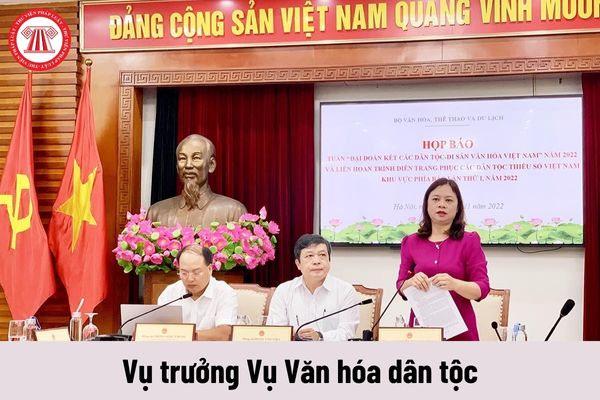 Mức phụ cấp chức vụ lãnh đạo của Vụ trưởng Vụ Văn hóa dân tộc được nhận là bao nhiêu?