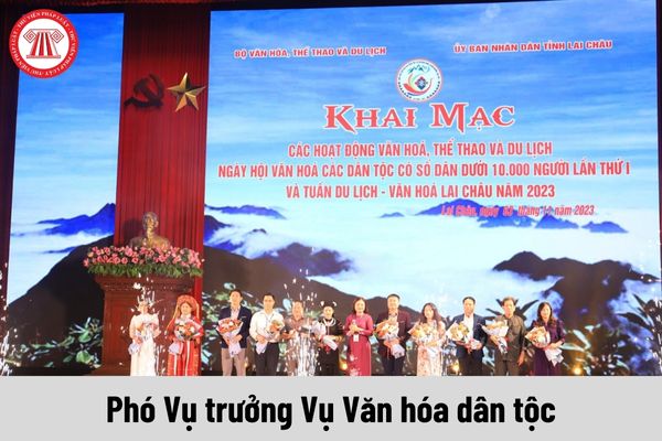 Phó Vụ trưởng Vụ Văn hóa dân tộc được nhận mức phụ cấp chức vụ lãnh đạo là bao nhiêu?