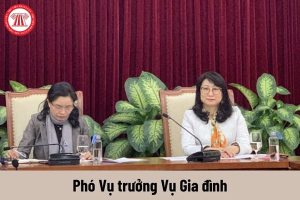 Mức phụ cấp chức vụ lãnh đạo của Phó Vụ trưởng Vụ Gia đình được nhận là bao nhiêu?