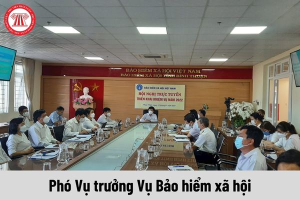 Phó Vụ trưởng Vụ Bảo hiểm xã hội được nhận mức phụ cấp chức vụ lãnh đạo là bao nhiêu?