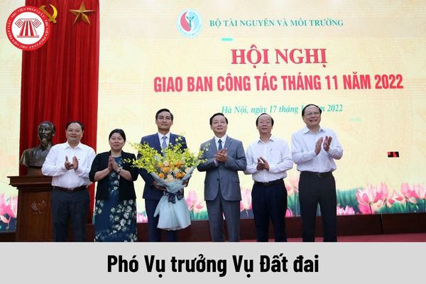 Phó Vụ trưởng Vụ Đất đai được nhận mức phụ cấp chức vụ lãnh đạo là bao nhiêu?