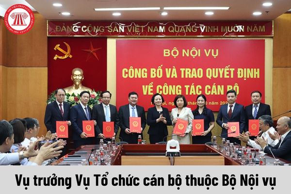 Mức phụ cấp chức vụ lãnh đạo của Vụ trưởng Vụ Tổ chức cán bộ thuộc Bộ Nội vụ được nhận là bao nhiêu?