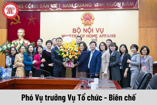 Mức phụ cấp chức vụ lãnh đạo của Phó Vụ trưởng Vụ Tổ chức - Biên chế được nhận là bao nhiêu?