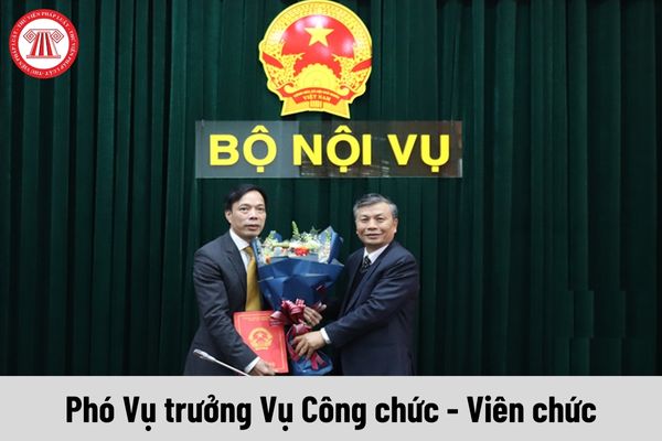 Phó Vụ trưởng Vụ Công chức - Viên chức được nhận mức phụ cấp chức vụ lãnh đạo là bao nhiêu?