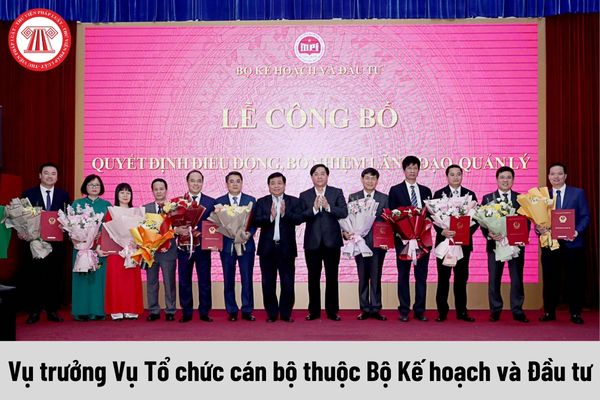 Mức phụ cấp chức vụ lãnh đạo của Vụ trưởng Vụ Tổ chức cán bộ thuộc Bộ Kế hoạch và Đầu tư được nhận là bao nhiêu?