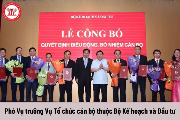 Phó Vụ trưởng Vụ Tổ chức cán bộ thuộc Bộ Kế hoạch và Đầu tư được nhận mức phụ cấp chức vụ lãnh đạo là bao nhiêu?