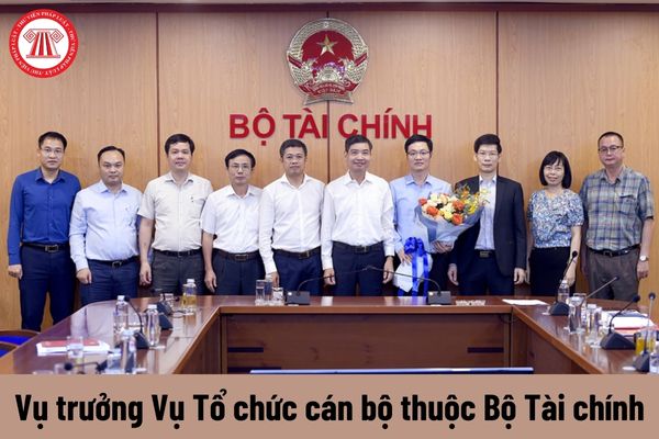 Vụ trưởng Vụ Tổ chức cán bộ thuộc Bộ Tài chính được nhận mức phụ cấp chức vụ lãnh đạo là bao nhiêu?