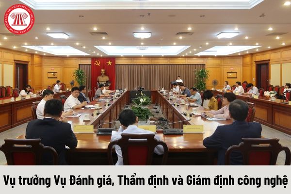 Vụ trưởng Vụ Đánh giá, Thẩm định và Giám định công nghệ được nhận mức phụ cấp chức vụ lãnh đạo là bao nhiêu?