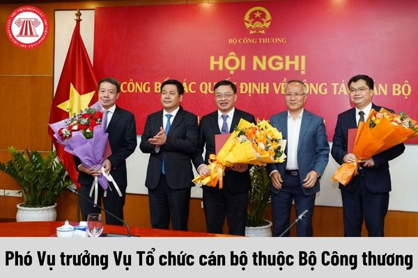 Phó Vụ trưởng Vụ Tổ chức cán bộ thuộc Bộ Công thương được nhận mức phụ cấp chức vụ lãnh đạo là bao nhiêu?