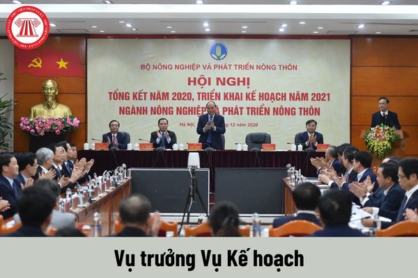 Mức phụ cấp chức vụ lãnh đạo của Vụ trưởng Vụ Kế hoạch thuộc Bộ Nông nghiệp và Phát triển nông thôn được nhận là bao nhiêu?