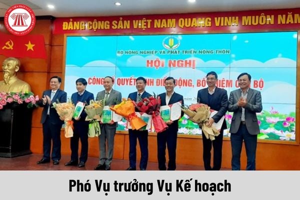 Phó Vụ trưởng Vụ Kế hoạch thuộc Bộ Nông nghiệp và Phát triển nông thôn được nhận mức phụ cấp chức vụ lãnh đạo là bao nhiêu?