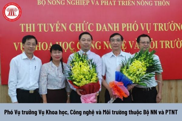 Phó Vụ trưởng Vụ Khoa học, Công nghệ và Môi trường thuộc Bộ NN và PTNT được nhận mức phụ cấp chức vụ lãnh đạo là bao nhiêu?