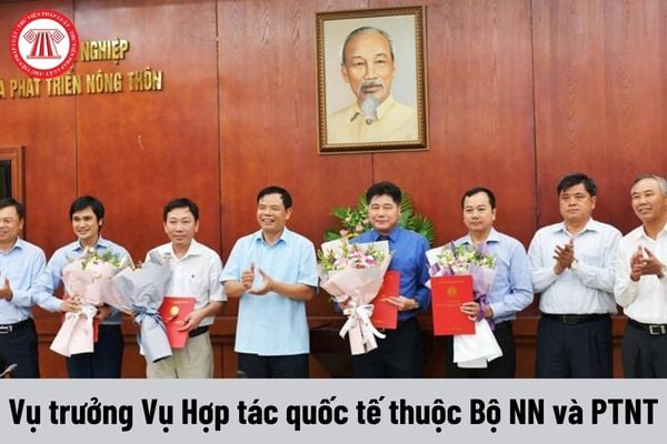 Vụ trưởng Vụ Hợp tác quốc tế thuộc Bộ Nông nghiệp và Phát triển nông thôn được nhận mức phụ cấp chức vụ lãnh đạo là bao nhiêu?