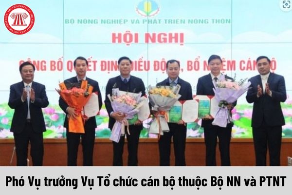 Mức phụ cấp chức vụ lãnh đạo của Phó Vụ trưởng Vụ Tổ chức cán bộ thuộc Bộ NN và PTNT được nhận là bao nhiêu?