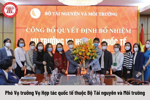 Phó Vụ trưởng Vụ Hợp tác quốc tế thuộc Bộ Tài nguyên và Môi trường được nhận mức phụ cấp chức vụ lãnh đạo là bao nhiêu?