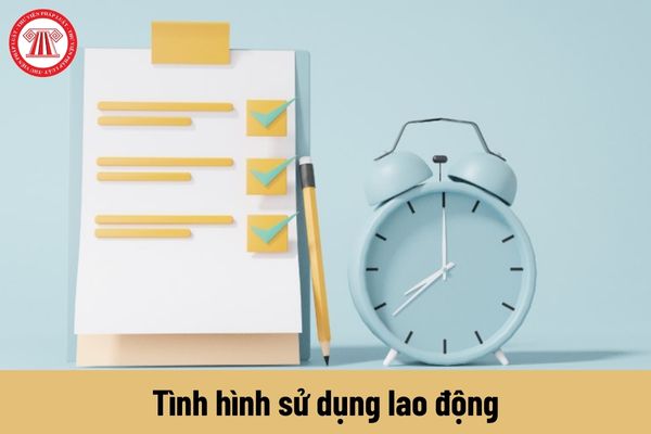 Tải và lưu ý khi điền mẫu báo cáo chuẩn về tình hình sử dụng lao động năm 2024 của Sở Quảng Nam?