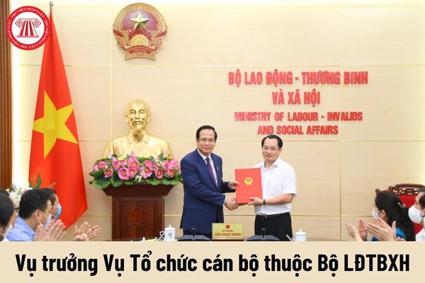 Vụ trưởng Vụ Tổ chức cán bộ thuộc Bộ LĐTBXH được nhận mức phụ cấp chức vụ lãnh đạo là bao nhiêu?