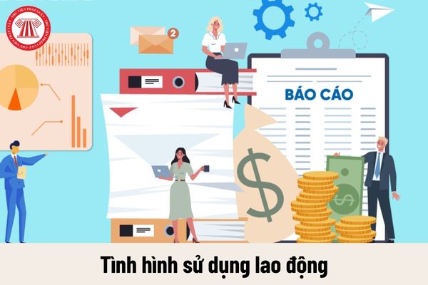 Tải và lưu ý khi điền mẫu báo cáo chuẩn về tình hình sử dụng lao động năm 2024 của Sở Nam Định?