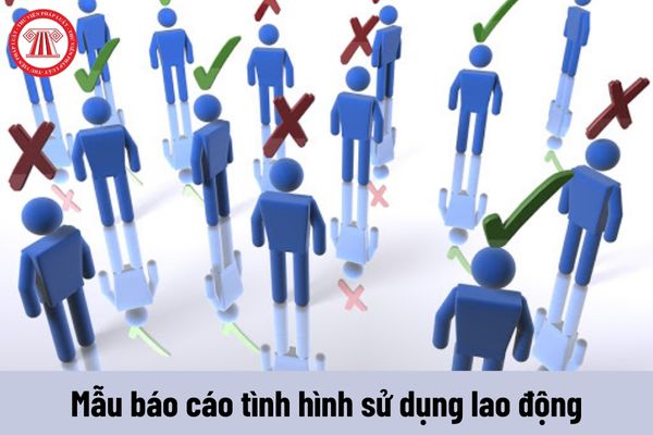 Những lưu ý khi điền mẫu báo cáo chuẩn về tình hình sử dụng lao động năm 2024 của Sở Cần Thơ?