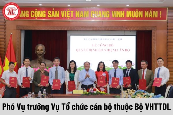 Phó Vụ trưởng Vụ Tổ chức cán bộ thuộc Bộ VHTTDL được nhận mức phụ cấp chức vụ lãnh đạo là bao nhiêu?