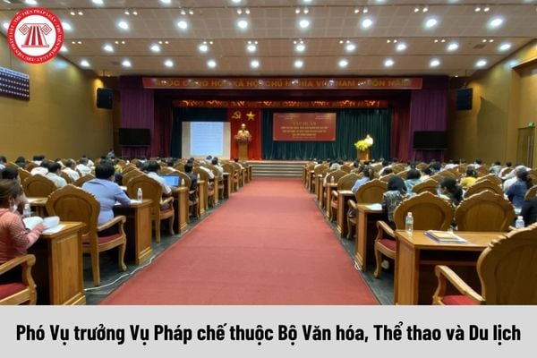 Phó Vụ trưởng Vụ Pháp chế thuộc Bộ Văn hóa, Thể thao và Du lịch được nhận mức phụ cấp chức vụ lãnh đạo là bao nhiêu?