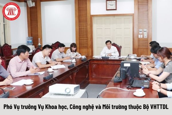 Mức phụ cấp chức vụ lãnh đạo của Phó Vụ trưởng Vụ Khoa học, Công nghệ và Môi trường thuộc Bộ VHTTDL được nhận là bao nhiêu?