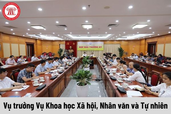 Vụ trưởng Vụ Khoa học Xã hội, Nhân văn và Tự nhiên được nhận mức phụ cấp chức vụ lãnh đạo là bao nhiêu?