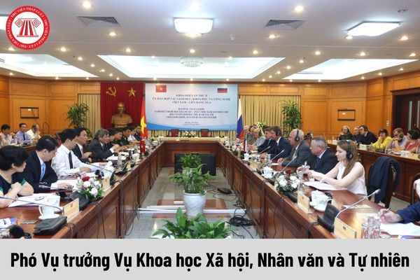 Mức phụ cấp chức vụ lãnh đạo của Phó Vụ trưởng Vụ Khoa học Xã hội, Nhân văn và Tự nhiên được nhận là bao nhiêu?