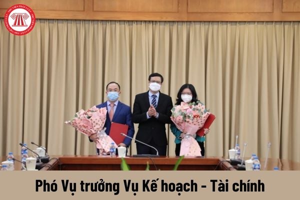 Phó Vụ trưởng Vụ Kế hoạch - Tài chính thuộc Bộ Khoa học và Công nghệ được nhận mức phụ cấp chức vụ lãnh đạo là bao nhiêu?