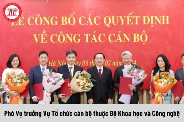 Phó Vụ trưởng Vụ Tổ chức cán bộ thuộc Bộ Khoa học và Công nghệ được nhận mức phụ cấp chức vụ lãnh đạo là bao nhiêu?